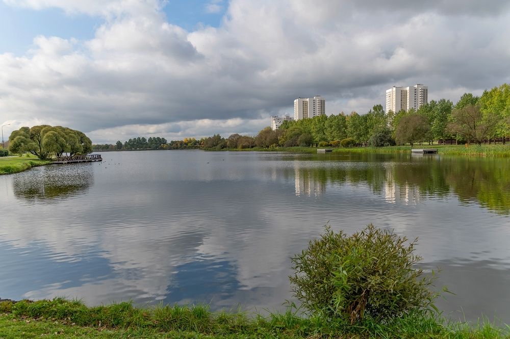 На городском пруду