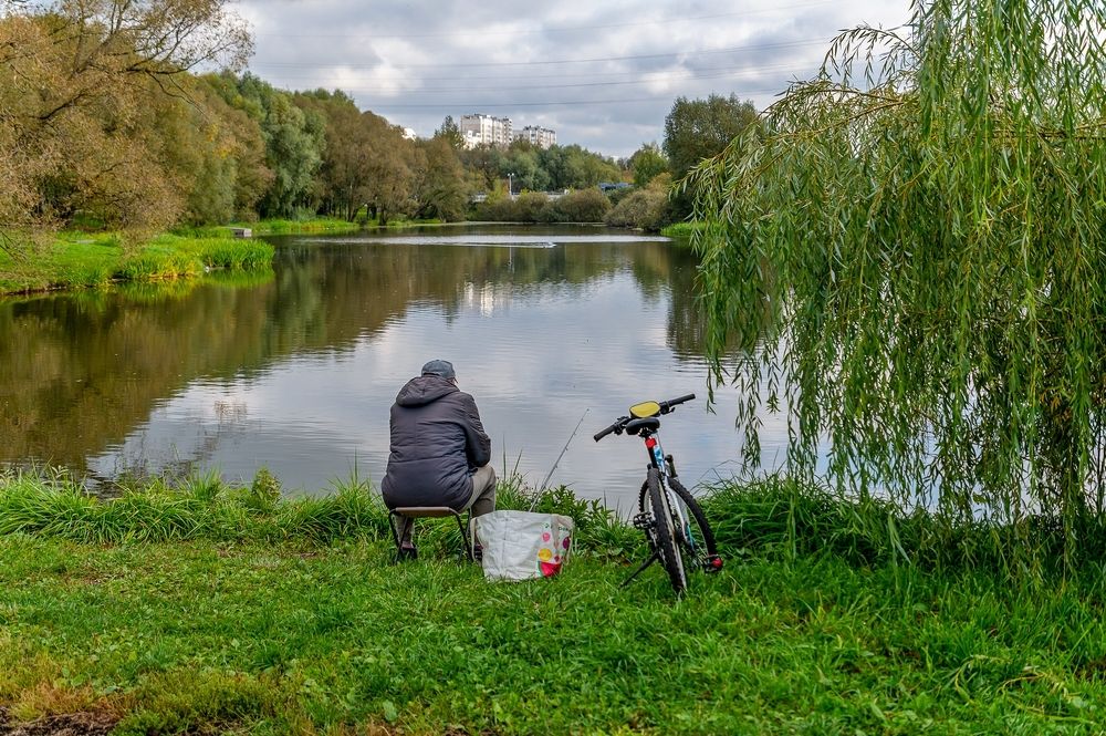 На городском пруду