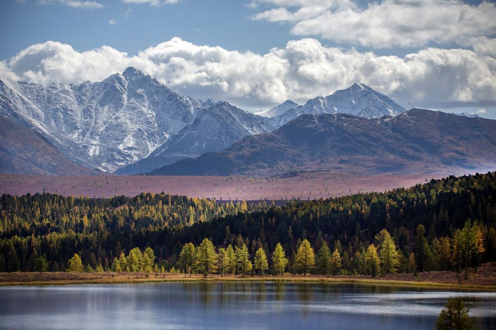 Осени шаги слышны всё ярче...