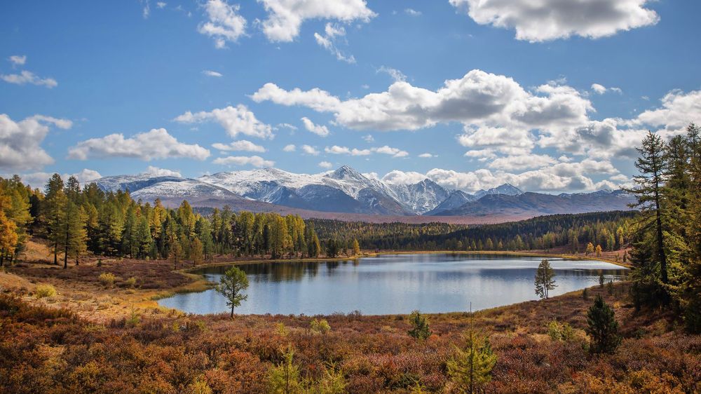 Классика.