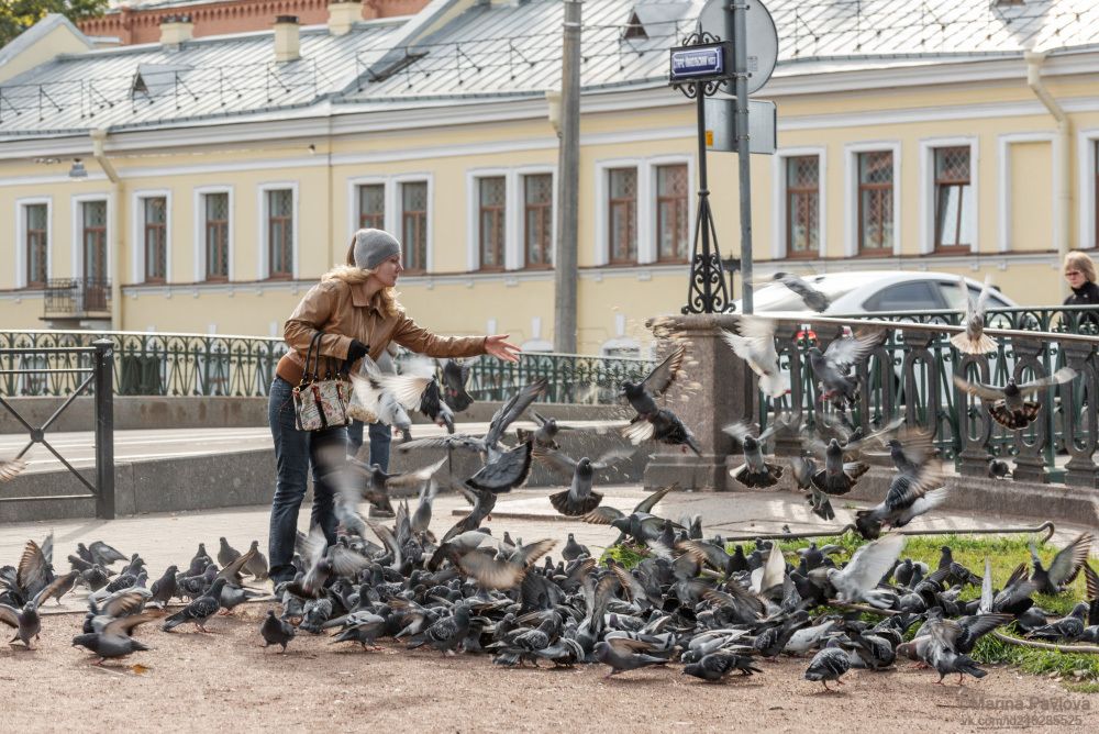 Любовь и голуби. Крюков канал. сентябрь 2019г.