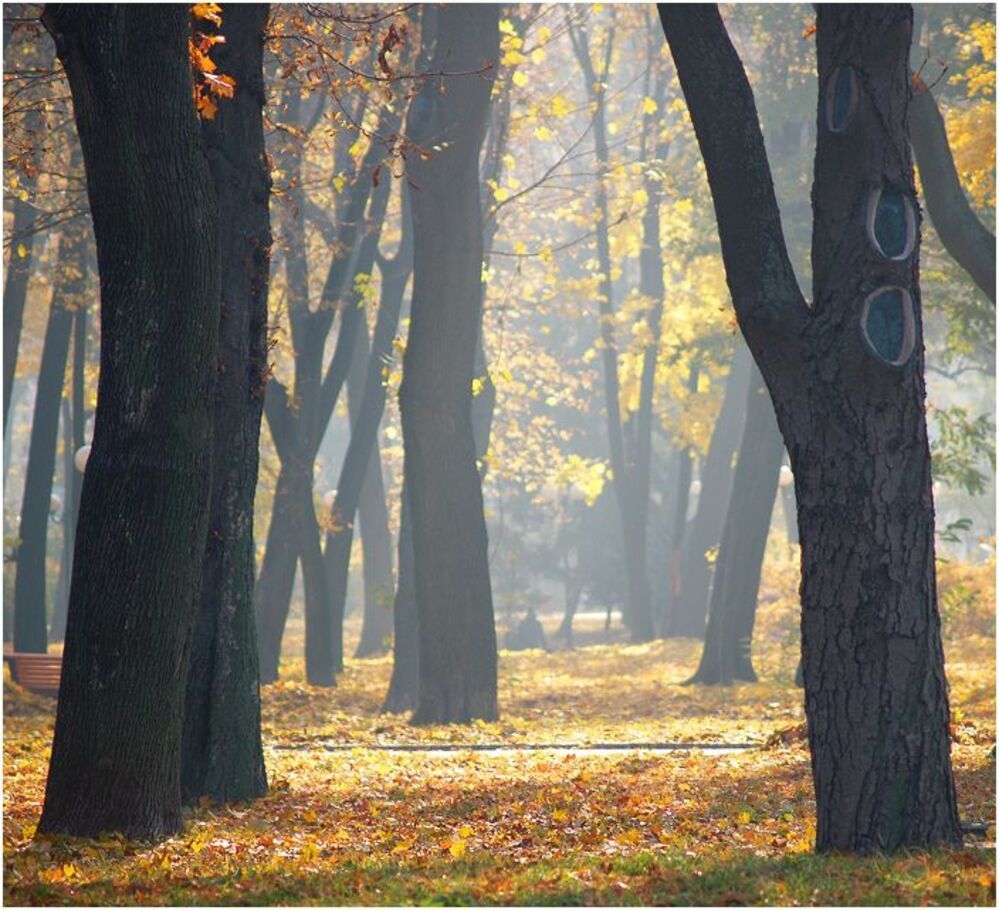 soft light