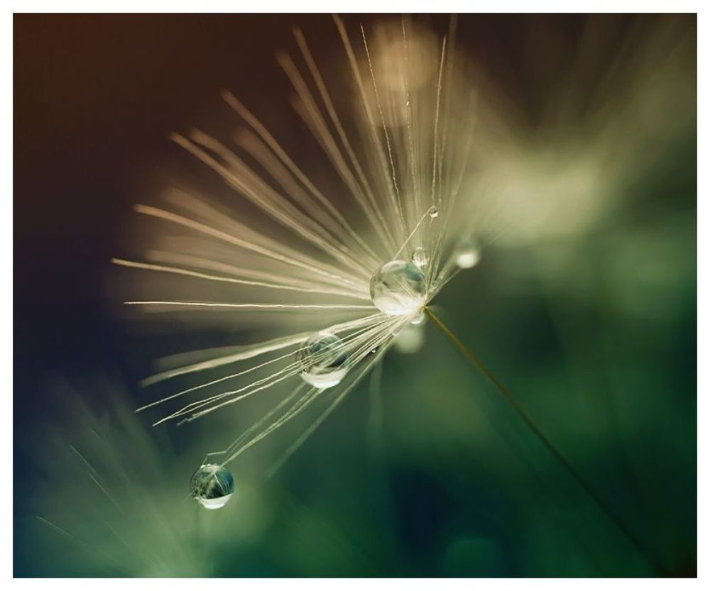 4. tears of ...