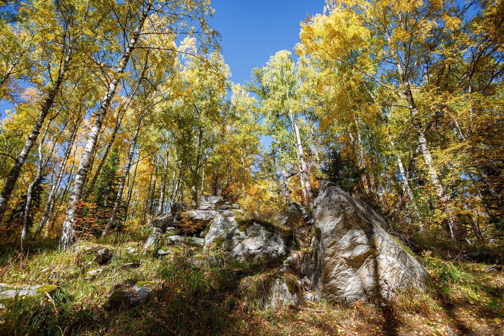 Осенние краски Уральской тайги