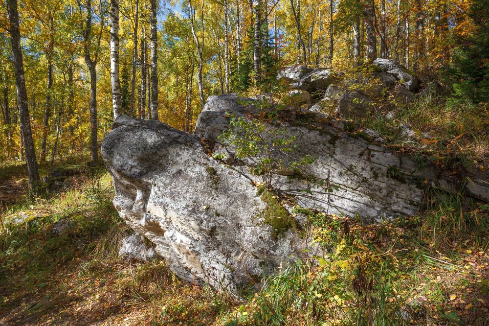 Осенние краски Уральской тайги