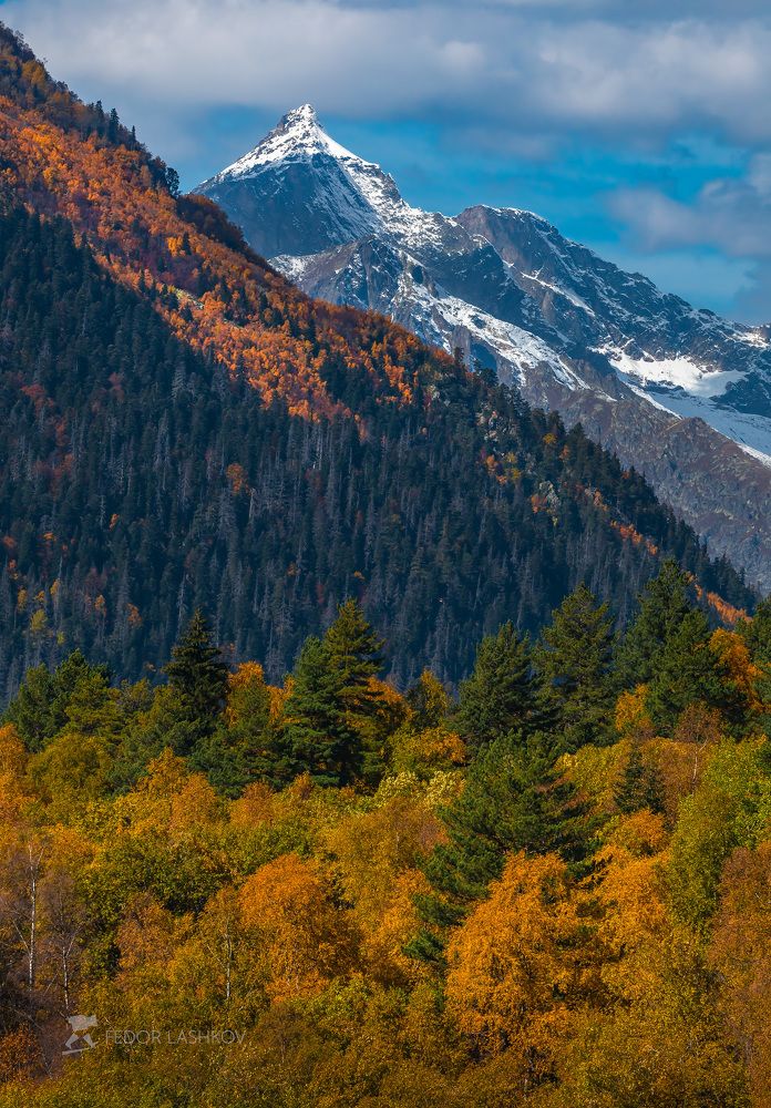 Домбайская осень