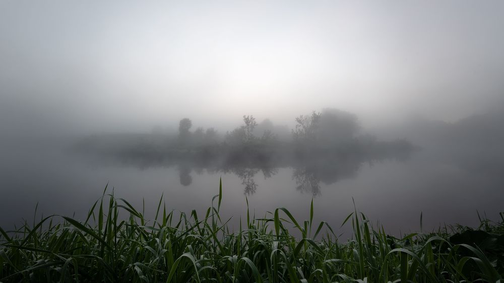 Photo 2471619