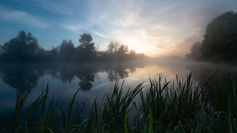 Photo 2471621