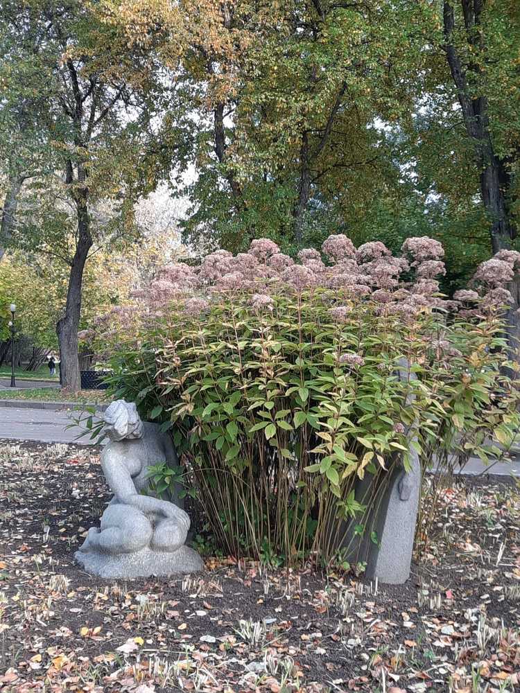 Что такое осень