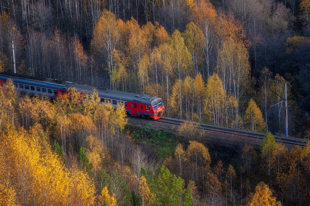 Осенний экспресс