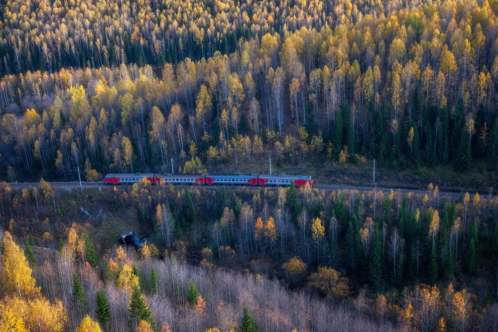 Осенний экспресс