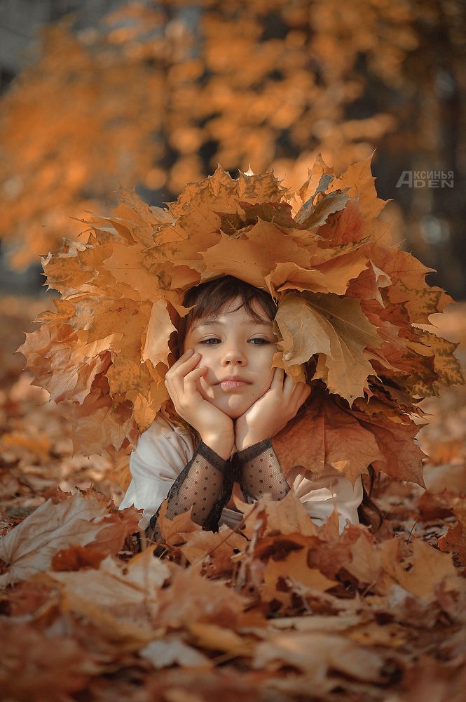 Photo 2473257