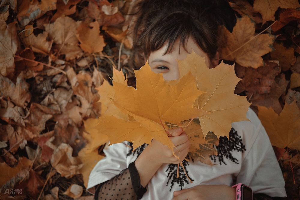 Photo 2473258