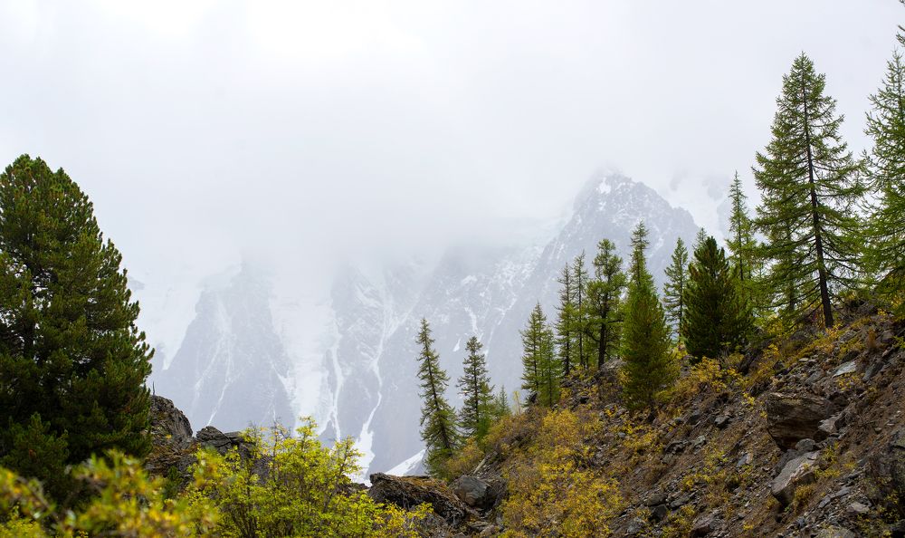 Алтай перед осенью.