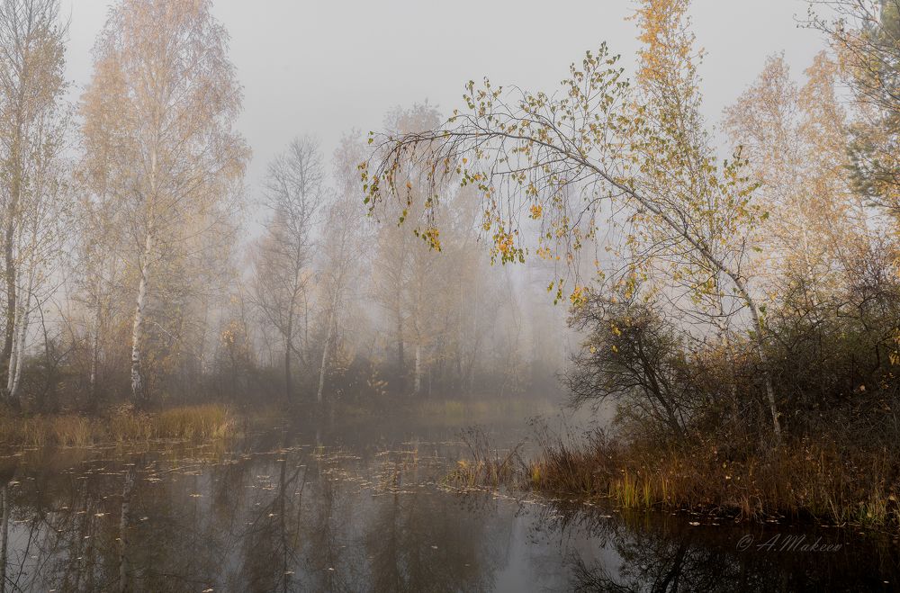 Уходящая осень