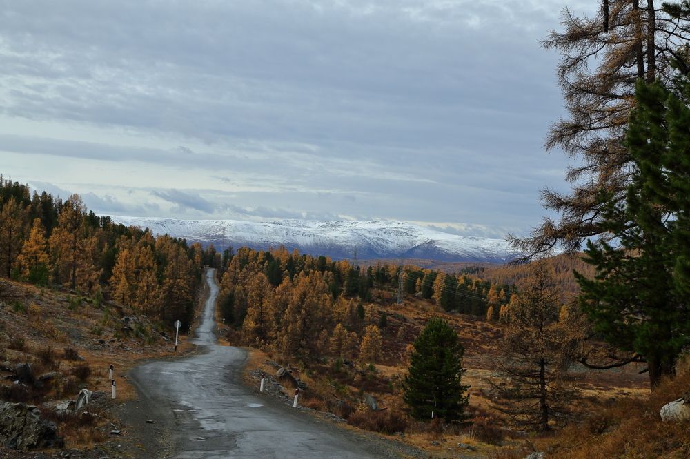 Улаганский перевал