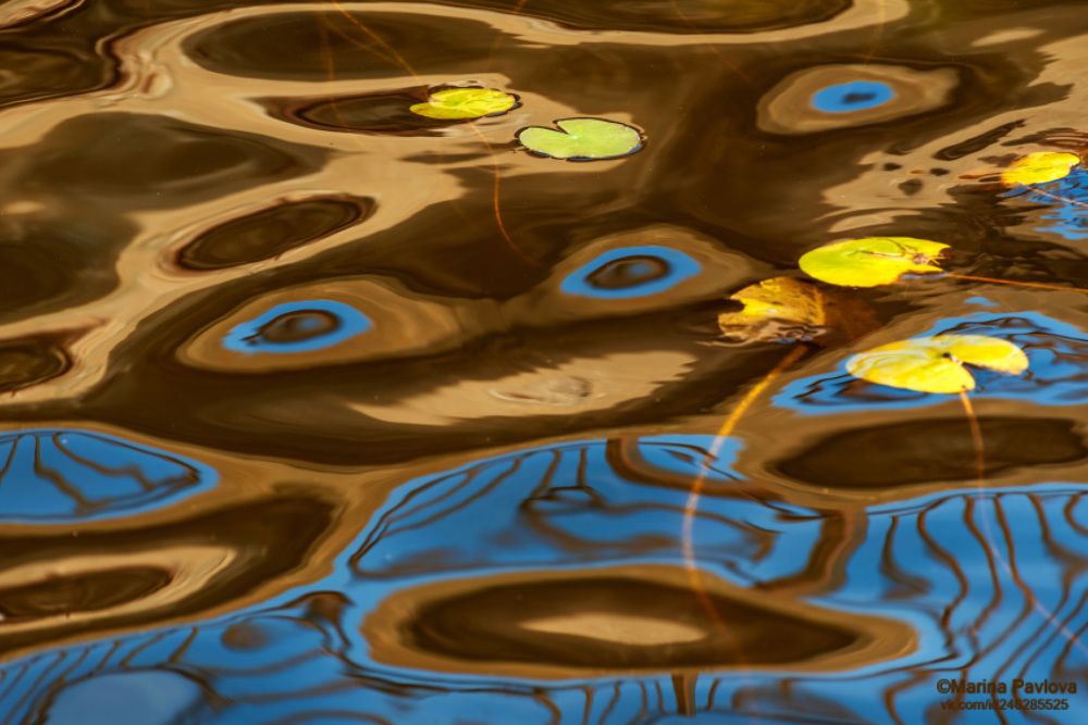 "В тихом омуте черти водятся"(русская народная поговорка), а ещё русалки, водяные и другая нечисть.