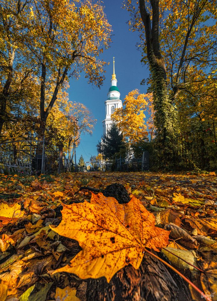 Всехсвятский кафедральный собор, Тула