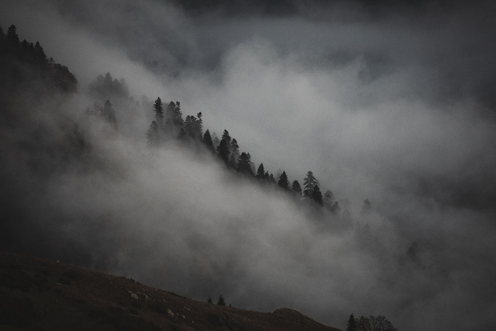 Photo 2475842