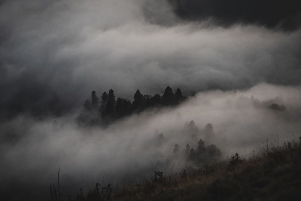 Photo 2475843