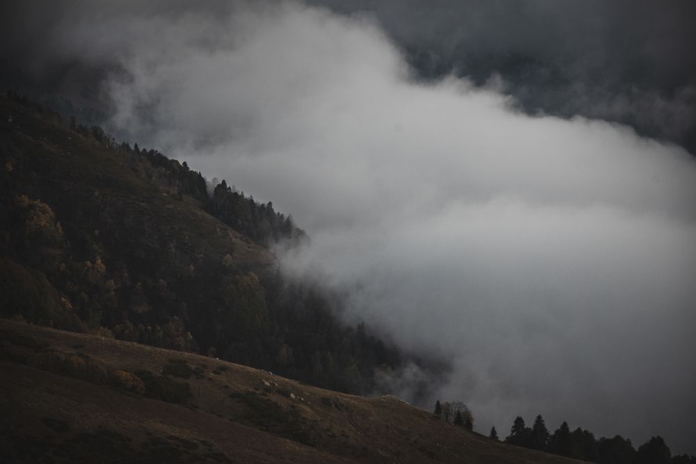 Photo 2475844
