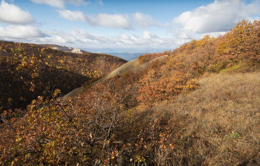 Октябрь в Жигулевских горах