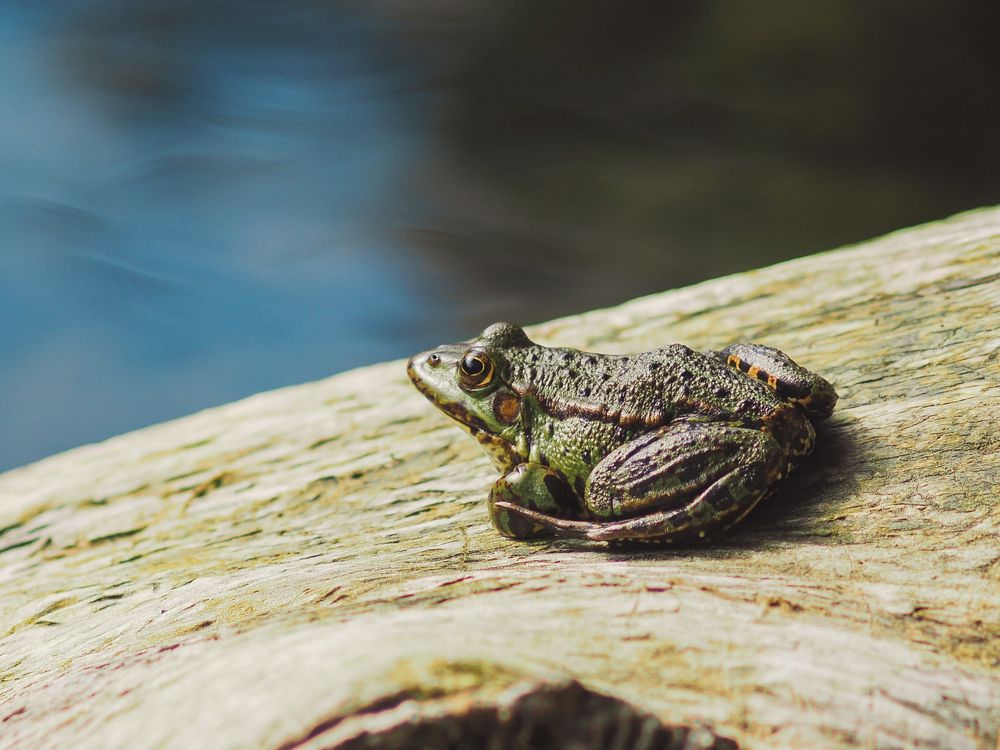 Photo 2476176
