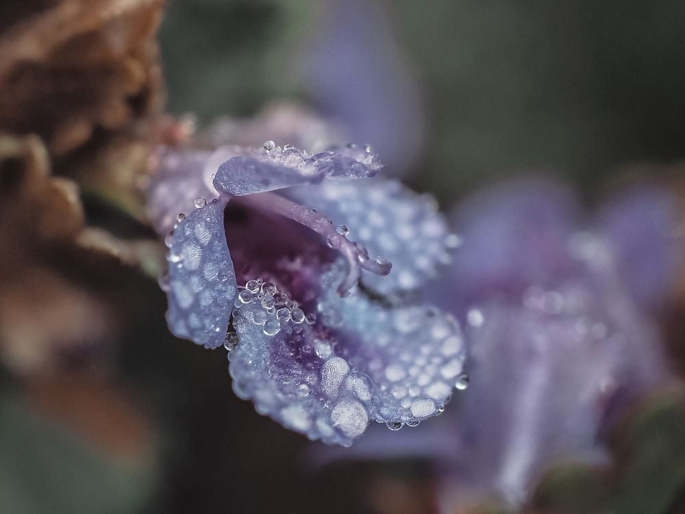 Photo 2476178