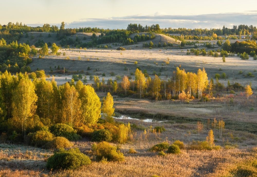 Осеннее утро