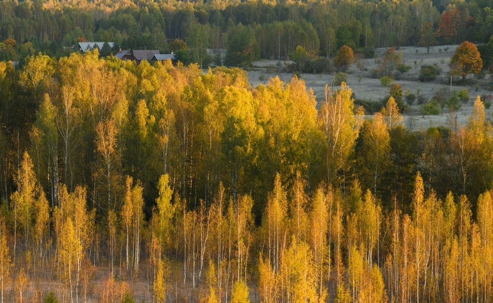 Осеннее утро
