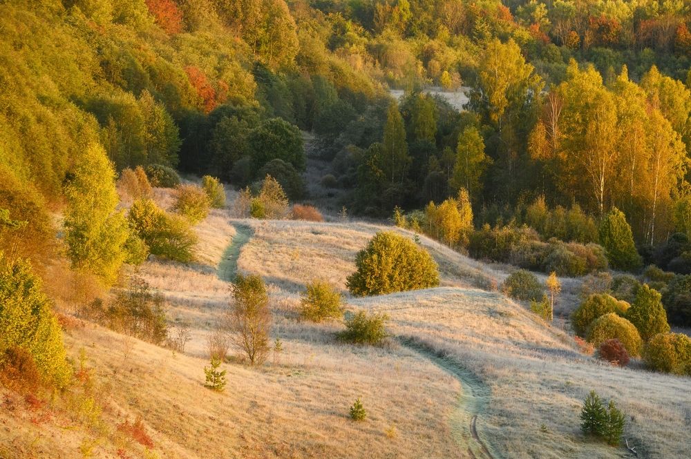 Осеннее утро