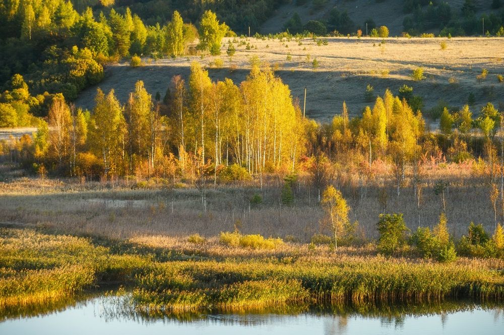 Осеннее утро