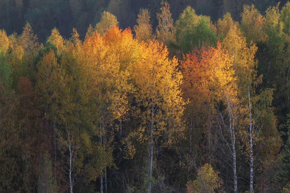 Сентябрь