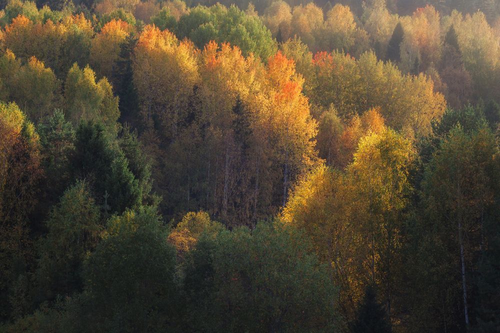 Сентябрь