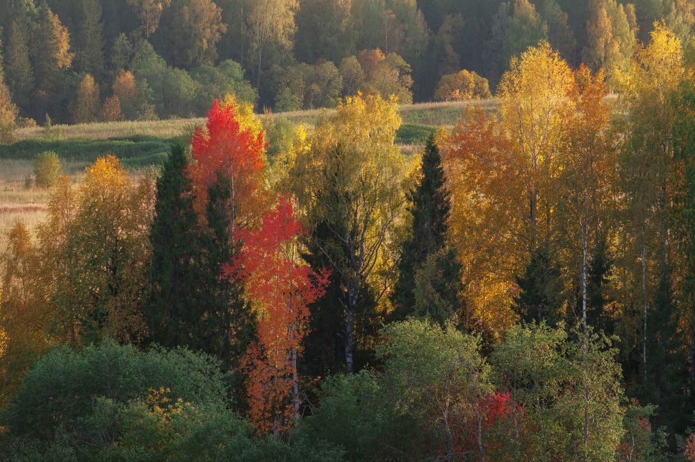 Сентябрь