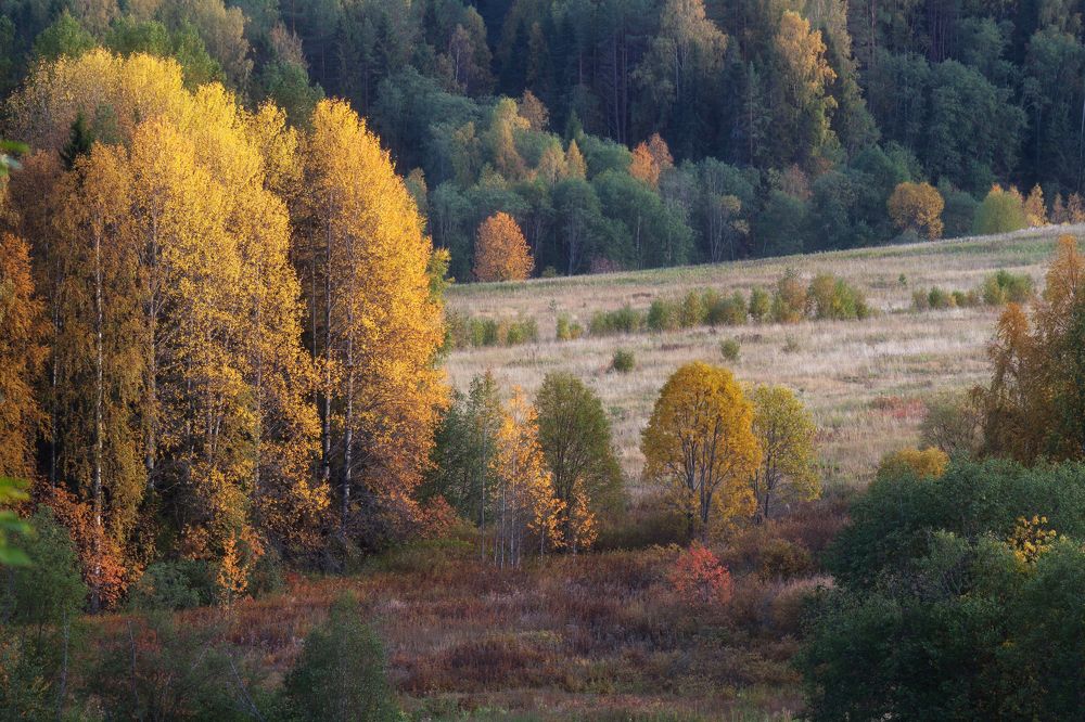 Сентябрь