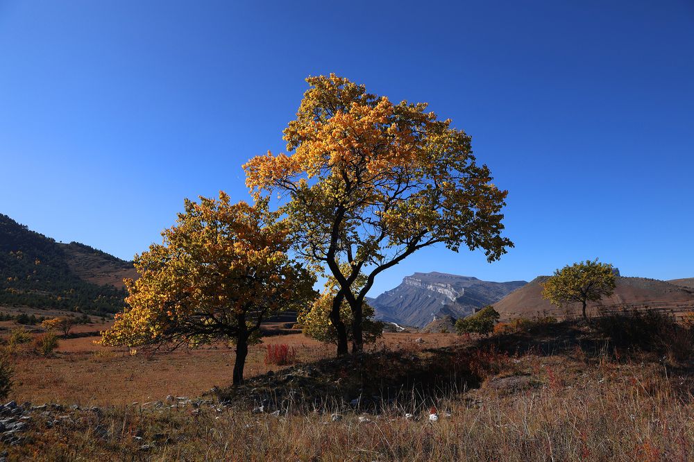 Бабье лето в горах..