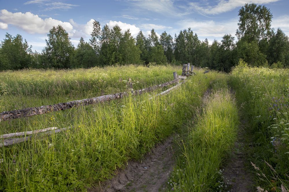 Photo 2477056