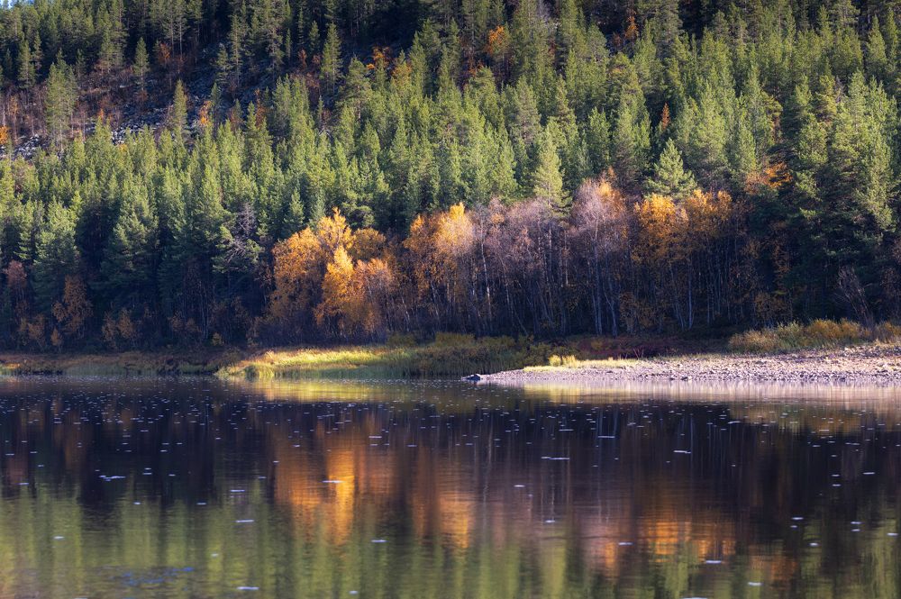 Осень на реке Поной