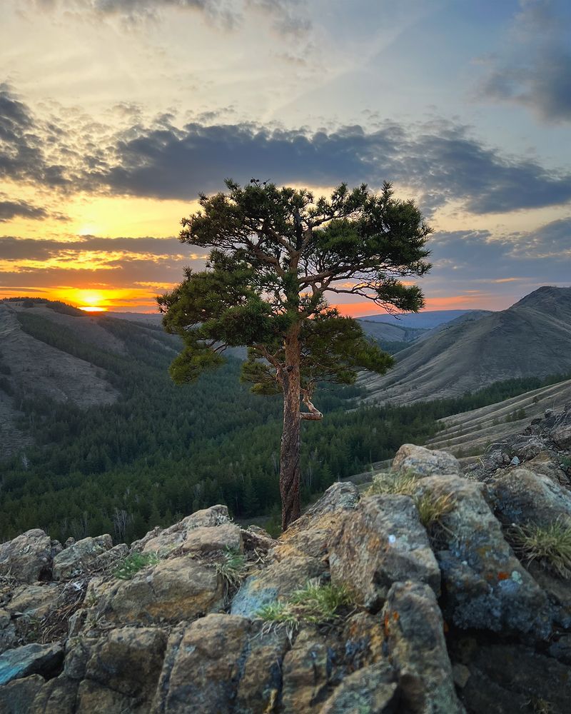Photo 2477573