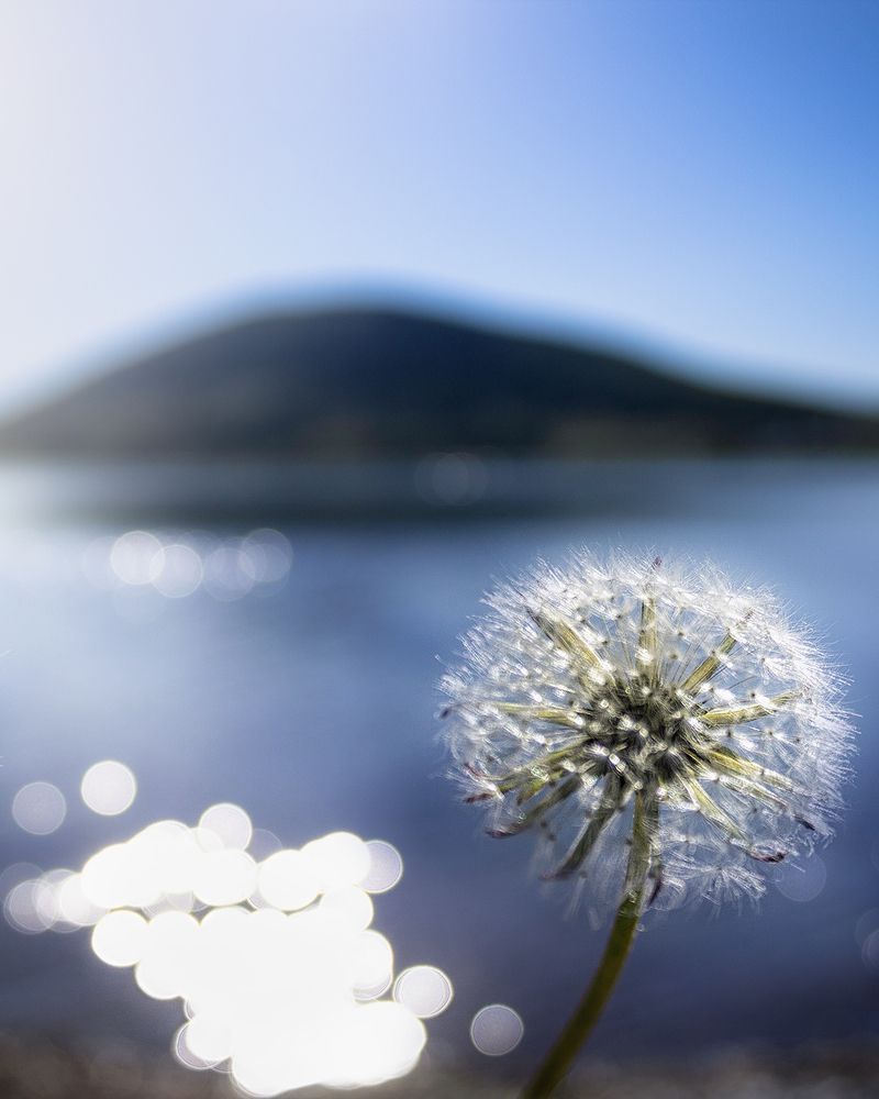 Photo 2477575