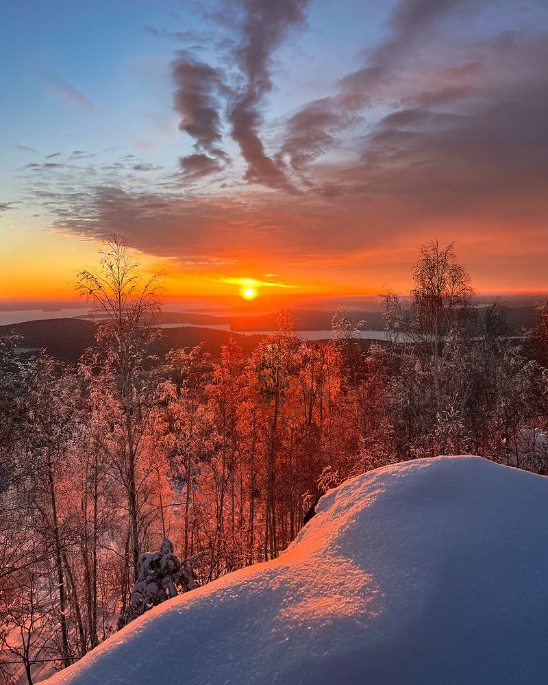 Photo 2477578