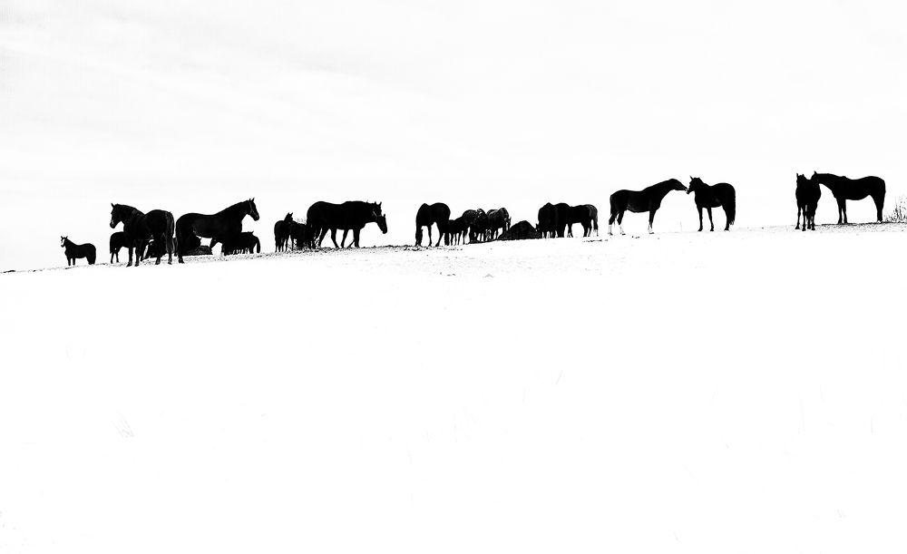 Photo 2477707