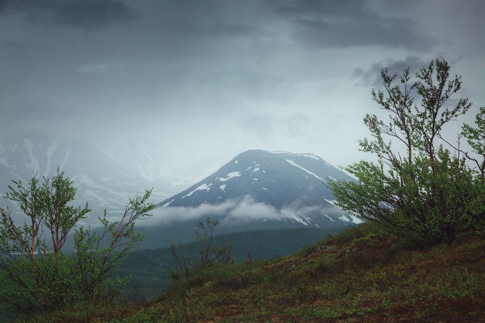 Хибины. Июнь