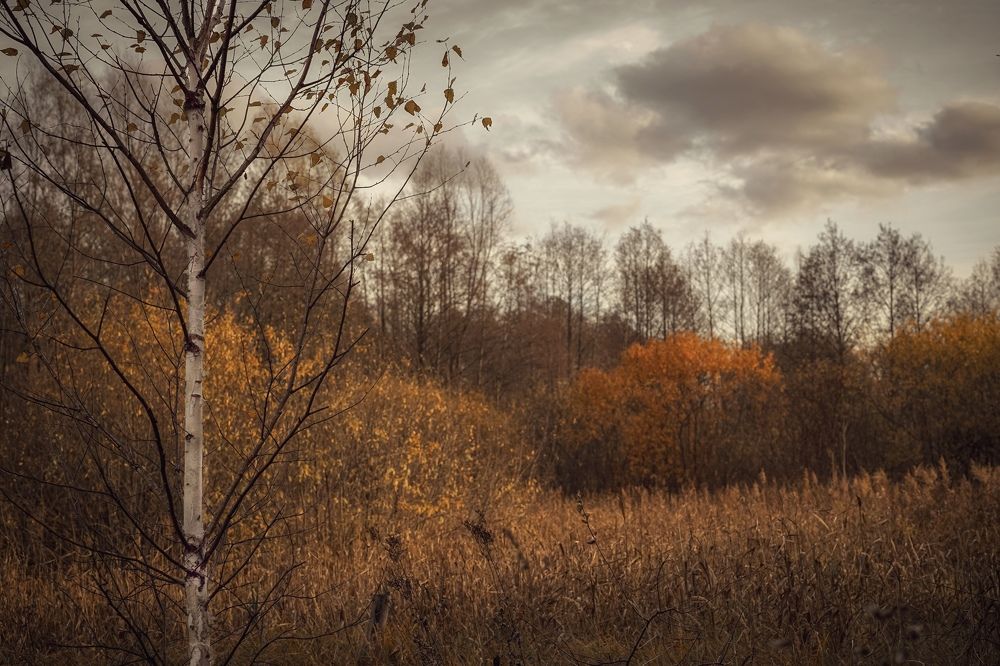 Photo 2478340