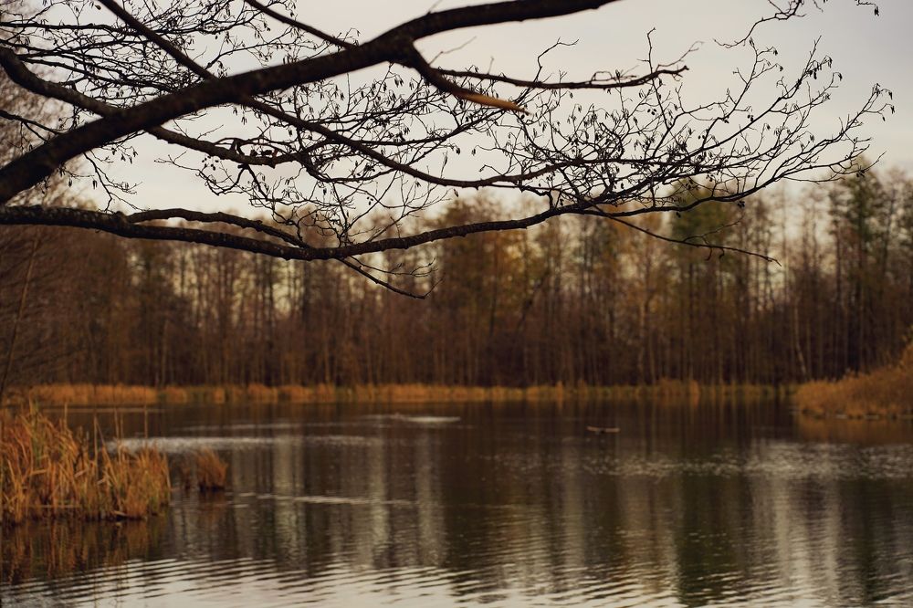 Photo 2478342