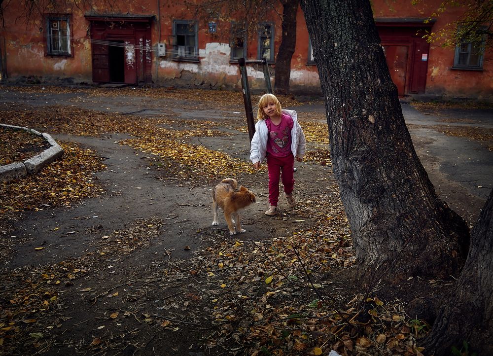 Photo 2478989
