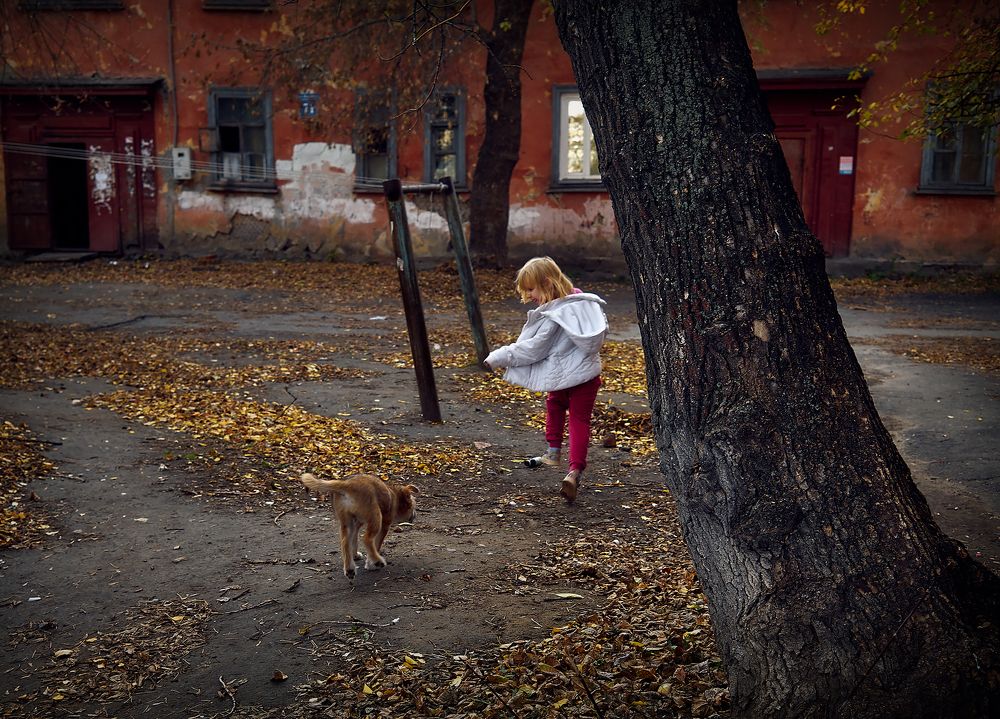 Photo 2478990