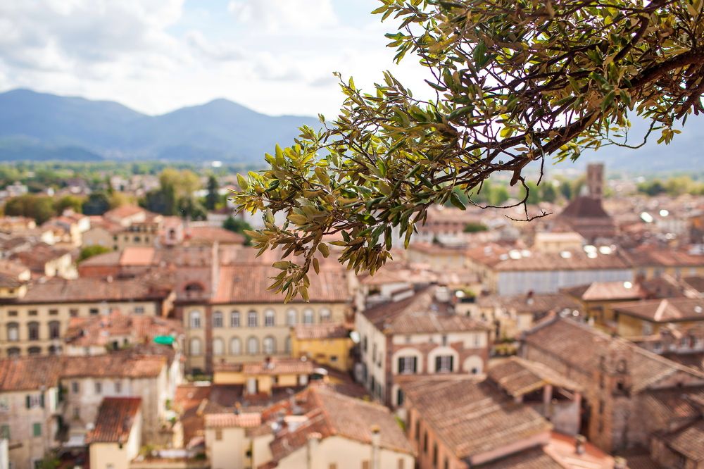 Lucca