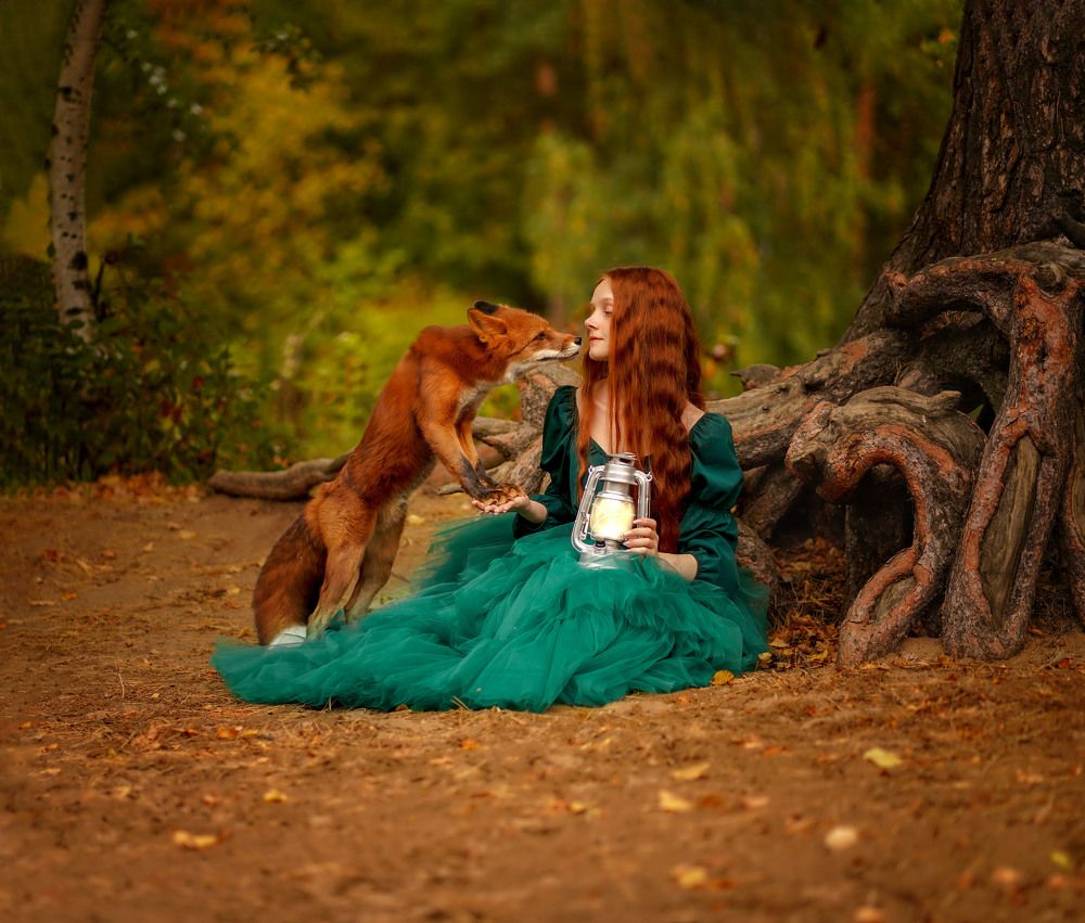 Photo 2479315